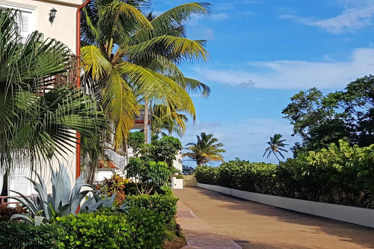 Cap Cove Saint Lucia Aparthotel Gros Islet Exteriör bild